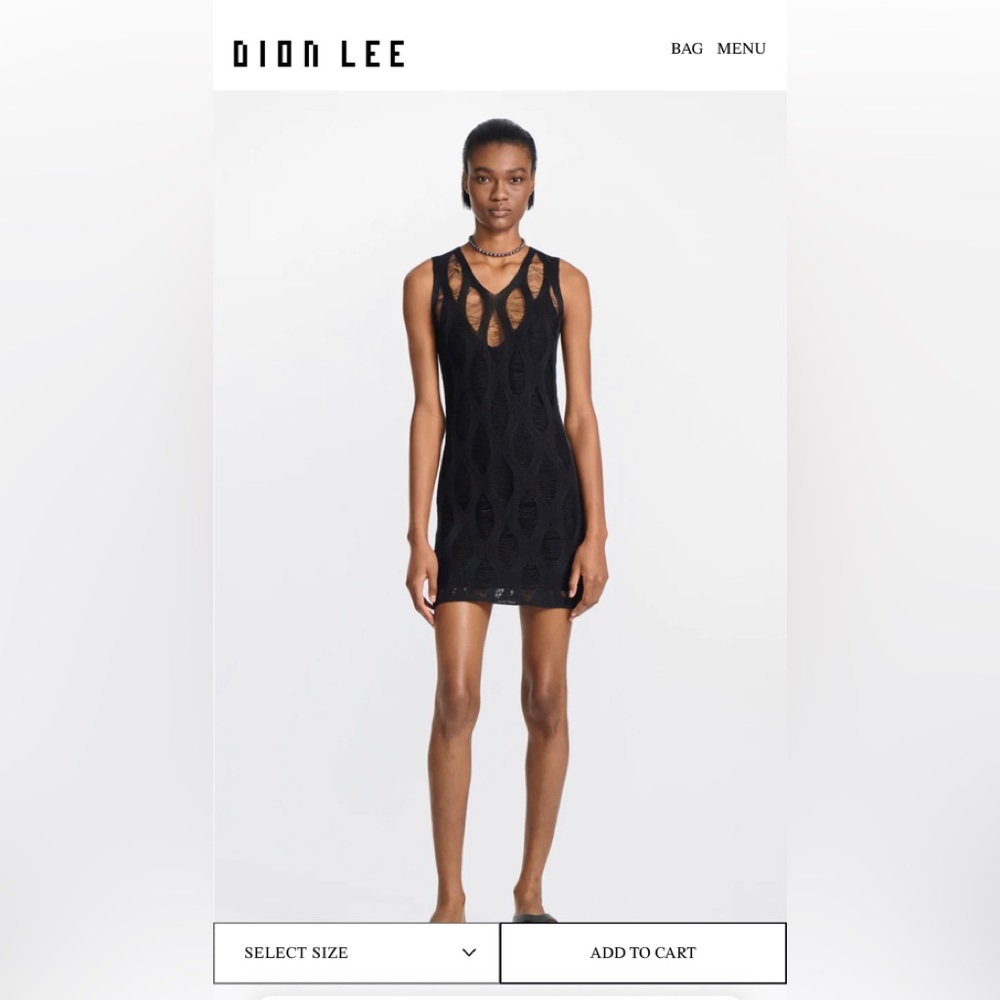 Dion Lee NET DISTRESSED MINI Dress